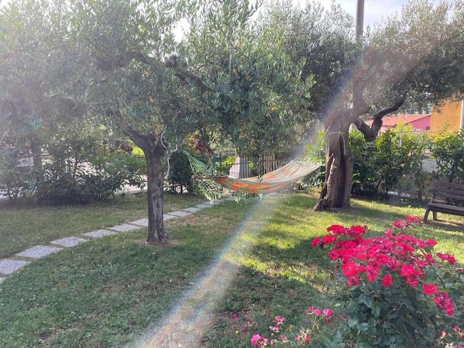 La Dimora Delle Rose Lejlighed Passignano sul Trasimeno Eksteriør billede