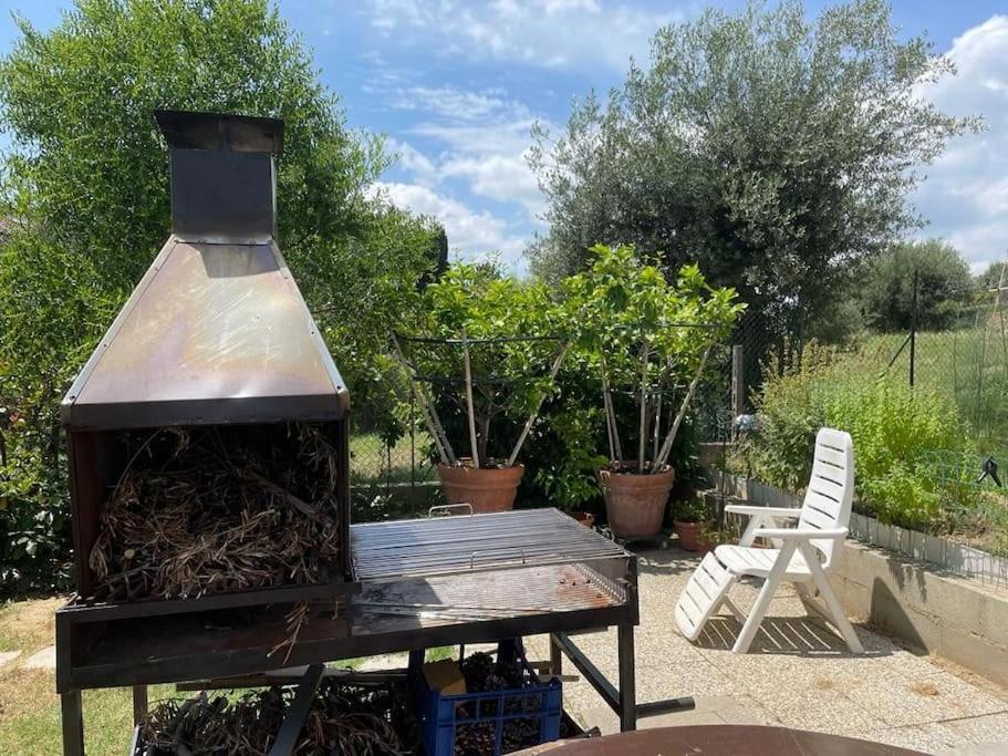 La Dimora Delle Rose Lejlighed Passignano sul Trasimeno Eksteriør billede
