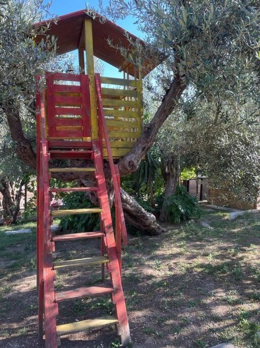 La Dimora Delle Rose Lejlighed Passignano sul Trasimeno Eksteriør billede