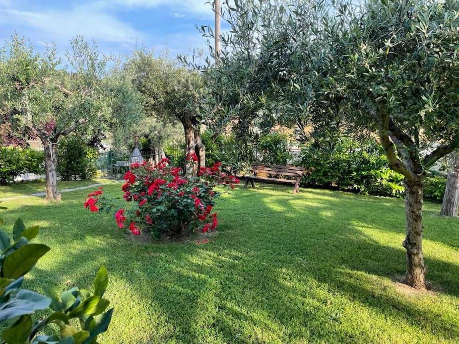 La Dimora Delle Rose Lejlighed Passignano sul Trasimeno Eksteriør billede
